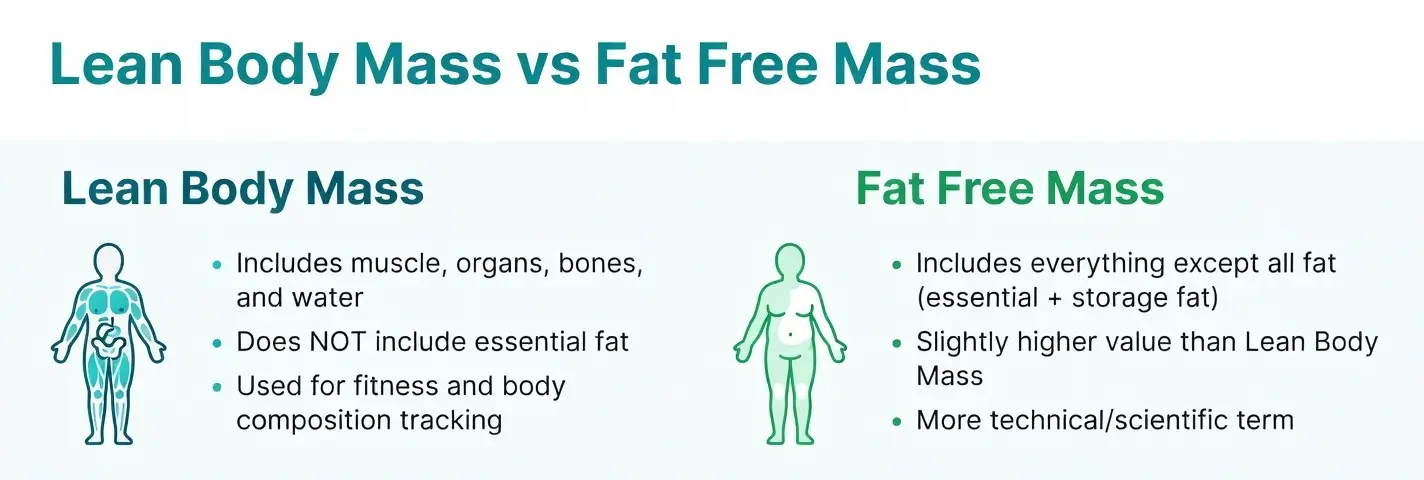 Lean Body Mass vs Fat Free Mass Lean Body Mass Calculator