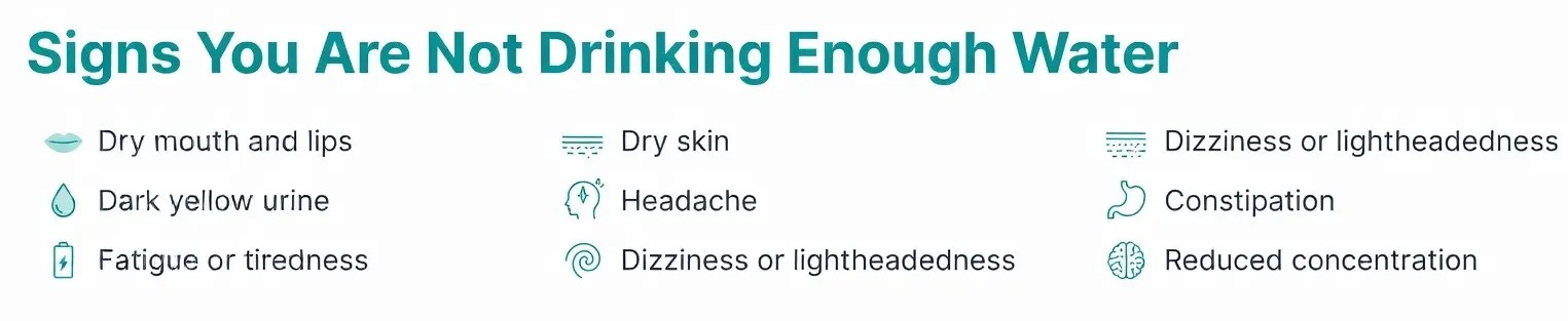 Signs You Are Not Drinking Enough Water Daily Water Intake Calculator