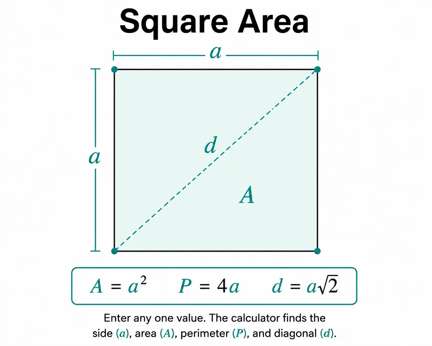 Area of a Square Calculator